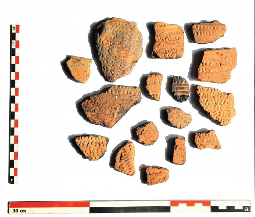 Fig. 6. Ceramică cu decor incizat din Cx1